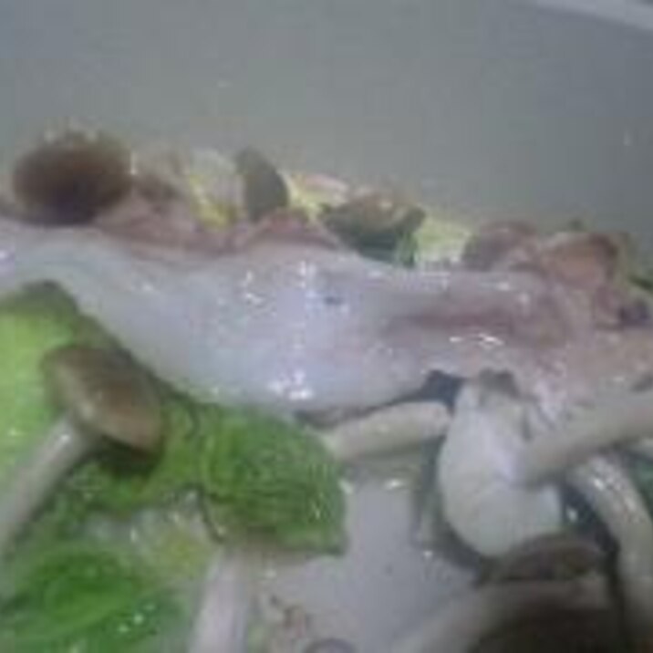 簡単 ヘルシー 豚肉と白菜のホットプレート蒸し レシピ 作り方 By タミフル32 楽天レシピ